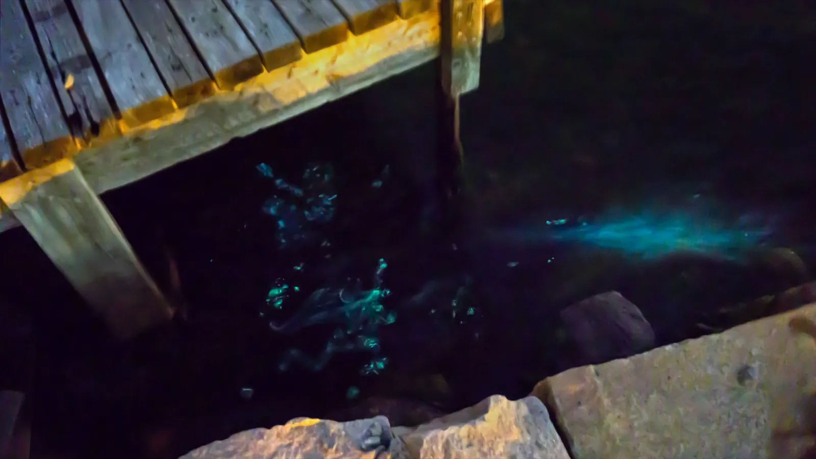 Bright blue bioluminescent waves glowing at night (illustrative photo, not taken in Costa Rica)