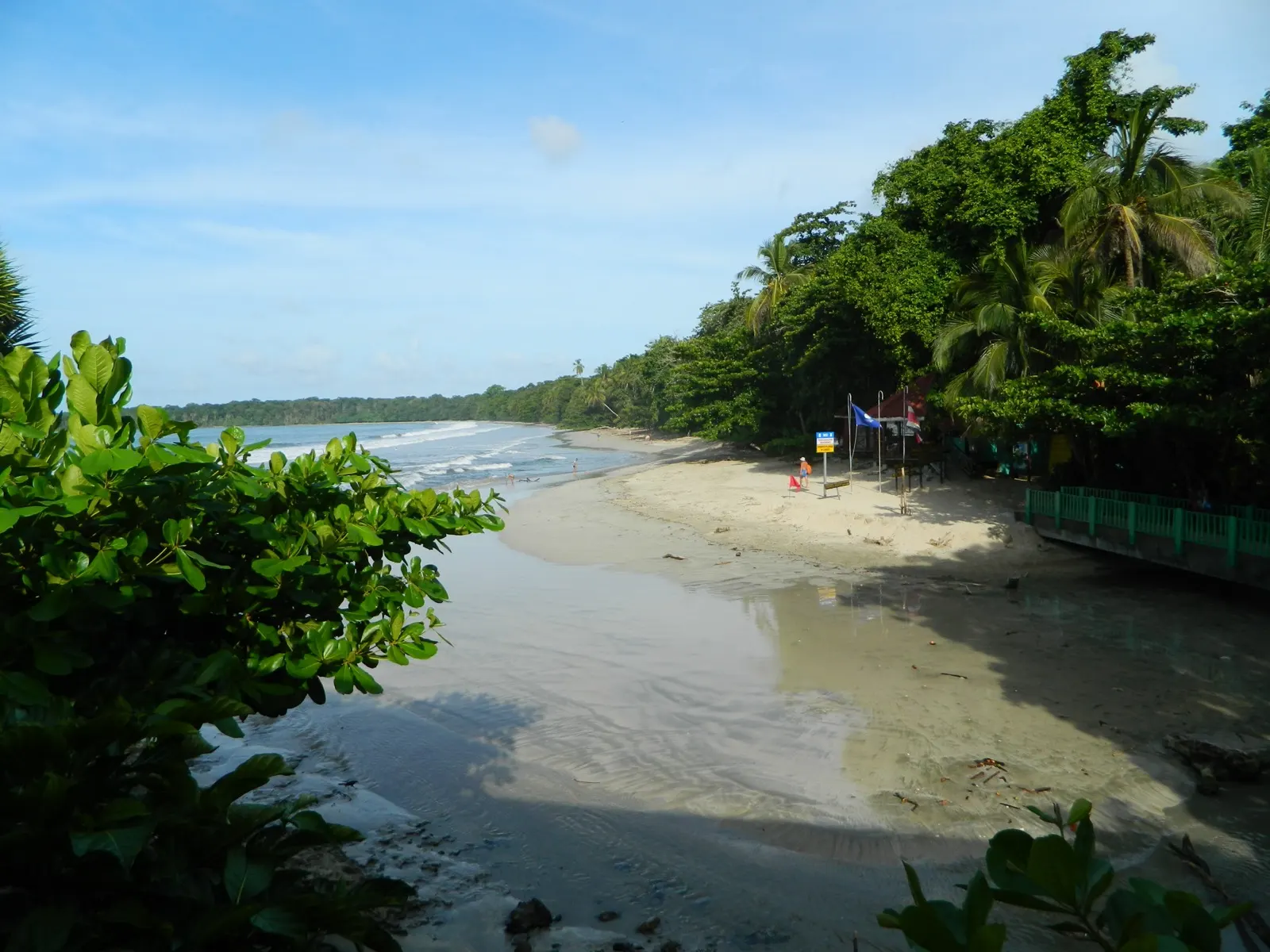 The forested Caribbean coastline at Cahuita National Park