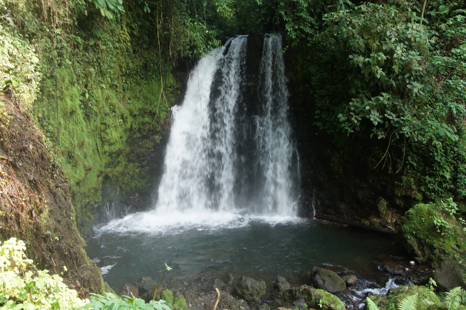 The turquoise-blue Rio Celeste river flowing through Tenorio Volcano National Park